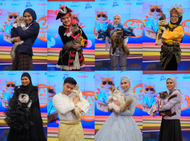 Top 8 Finalis Cat Fashion Week